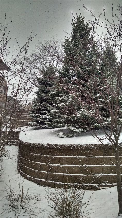 Indo-European *pk^ten- ‘comb’ implies *-pks-? : r/etymology