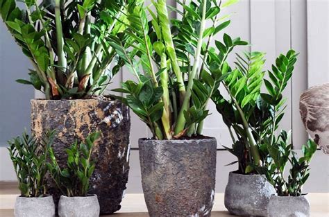 Pushka-Shop - Pushka-Shop added a new photo.