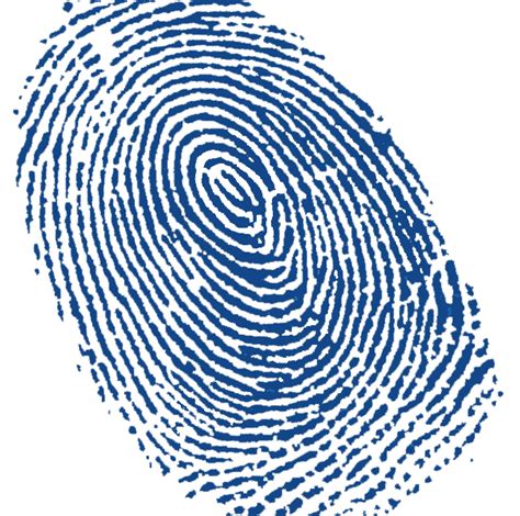 Fingerprint Png Transparent Image Download Size 604x600px