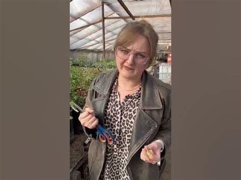 #сад #дача #огород #семеналтая - YouTube