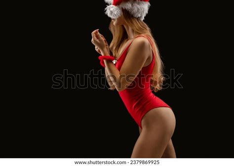 11 456 Santa Lingerie Images Stock Photos 3D Objects Vectors Shutterstock