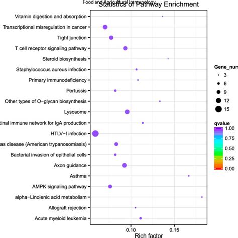 KEGG Pathway Enrichment Analysis Of DE MRNAs The Top 20 Enriched KEGG