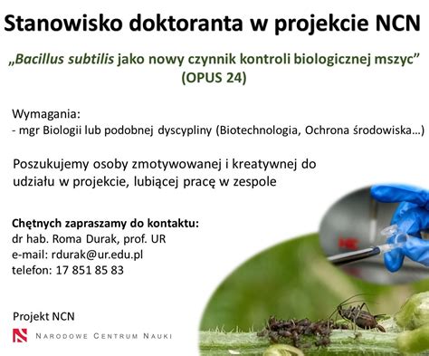 Stanowisko Doktoranta W Projekcie NCN Uniwersytet Rzeszowski