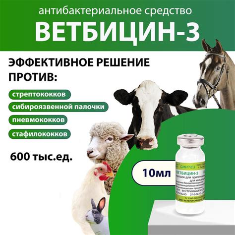 Ветбицин 3 (600 тыс. ЕД) комплексное антибактериальное средство 10мл ...