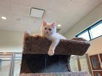 Gallery - Bayside Pet Resort