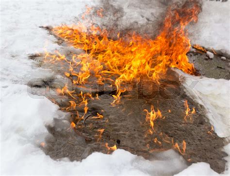 fiery flame on the white snow in winter | Stock image | Colourbox