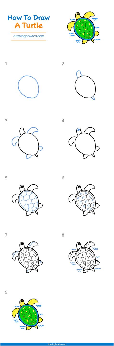 How To Draw A Turtle Step By Step Easy Drawing Guides Drawing Howtos