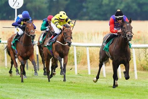 Guide To Buying A Racehorse Racehorse Uk