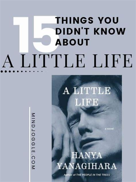 The Story of the Story: 15 Things You Didn't Know about A Little Life ...