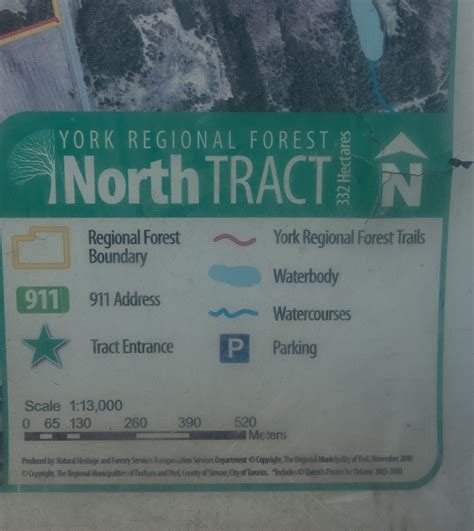 The mount albert trail that leads to a hidden waterfall 8