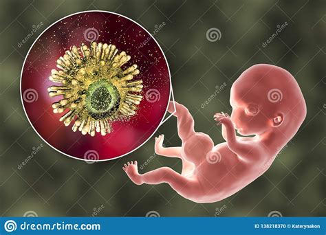 Concept For Prevention Of Hiv Transplacental Transmission Stock