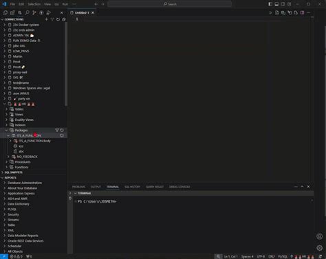 Oracle Sql Developer Extension For Vs Code 2411 Is Here