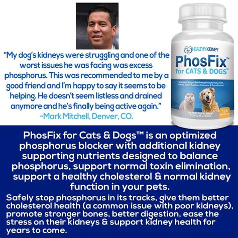 Phosphorus Binder For Cats And Dogs To Support Normal Kidney Function