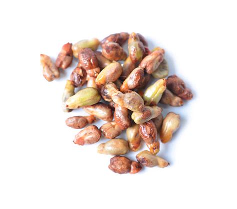 Best Grape Seeds Stock Photos, Pictures & Royalty-Free Images - iStock