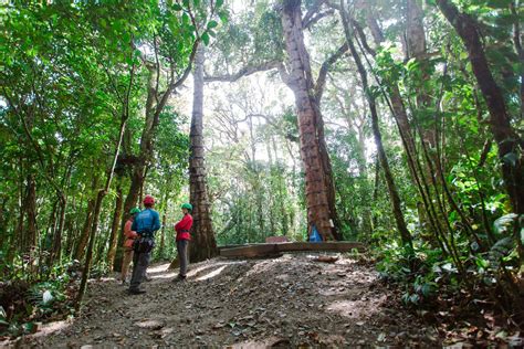 How to Get to Monteverde, Costa Rica: Travel Tips