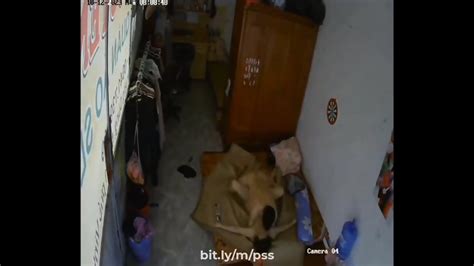 Fuck My Wife Chu Shop 2