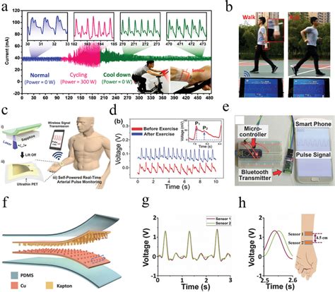 schematic diagram   icp sensor  icp measured   sensor