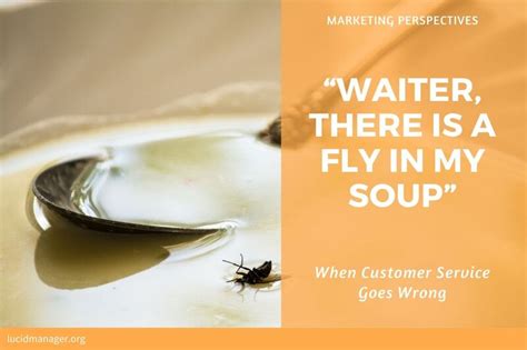 There Is A Fly In My Soup” Customer Service Goes Wrong