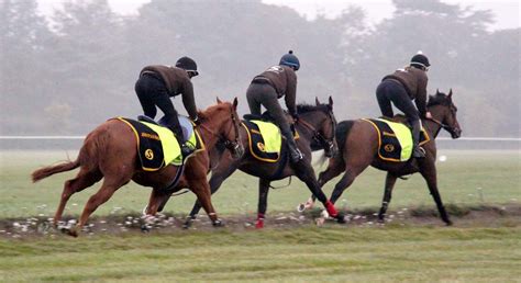 Racehorse training facilities | Newmarket racehorse trainer UK