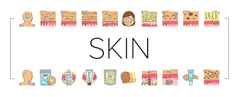 Skin Care Cosmetology And Treat Icons Set Vector 18999916 Vector Art At