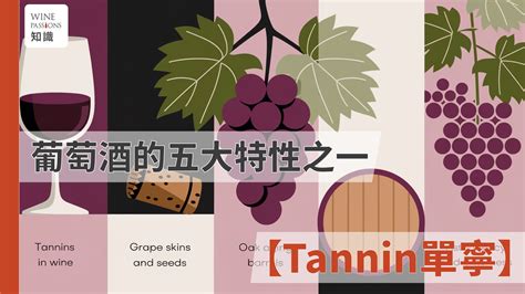 wine passions magazine