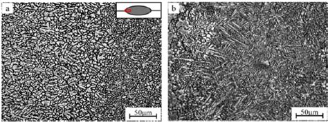 Equiaxed Dendritic Structure In The Fusion Zone Of Az31 Mg Alloy