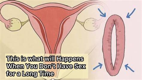 What Happens When You Don T Have Sex For A Long Time YouTube