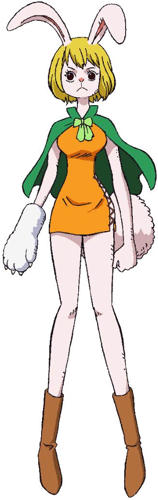 Carrot One Piece Heroes Wiki Fandom