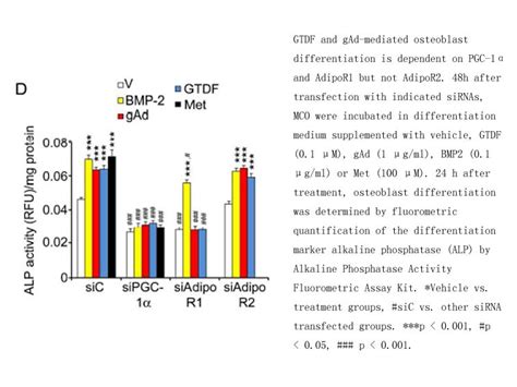 Apexbio Alkaline Phosphatase Activity Fluorometric Assay Kit Detects Alkaline Phosphatase