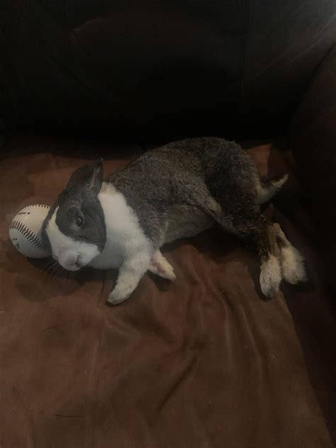 Yo Babe Using My Couch Baseball As A Pillow After Flopping On It R Buncomfortable