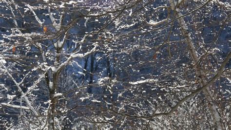 Top Aerial View Of Destroyed Town. Cityscape. Demolished Neighbourhood ...