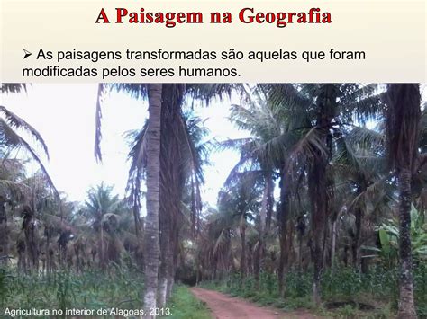 O Que É Paisagem Na Geografia - A paisagem na Geografia | PPTX | Science