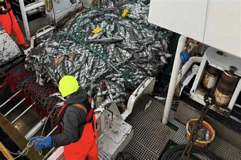 N U T Plega Sex Tonnum Sk Mmum T Ma