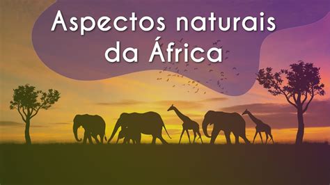 Quais Características Conferem Grande Diversidade Interna Ao Continente Africano