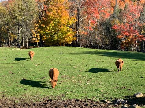 public.warrencountyny.gov - /gis/fw/Photos/Fall/