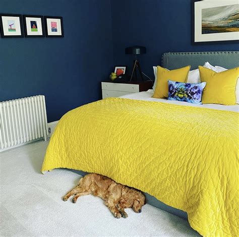 Hague Blue Vs Stiffkey Blue Which Farrow And Ball Blue Shade Sleek