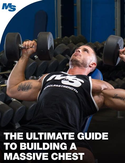 The Ultimate Guide to Building a Massive Chest | Bodybuilding chest ...