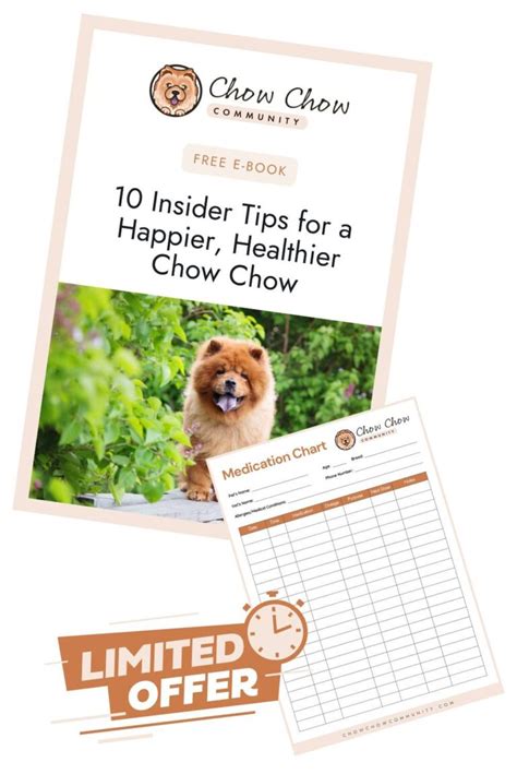 What Is A Merle Chow Chow All You Need To Know Including These Rarely