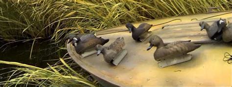 Обзор и тест чучел Брайт 62 - Охота и рыбалка