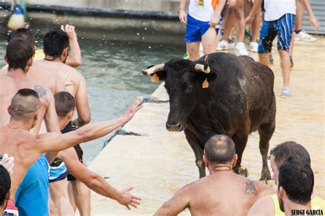 Los Taurinos Se Concentrar N El Primer Domingo De La Festa Major De