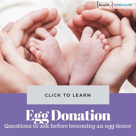 Surrogacy Question Answers About Egg Donation