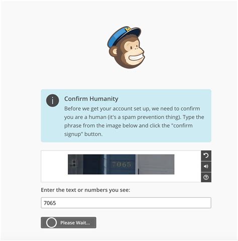 Captcha design pattern example at Mailchimp - 13 of 13