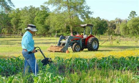 O Que Um Agronomo Faz - O que faz um agrônomo? – Zona Curiosa