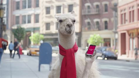 The Work Lions Entry Automated Banking Llama Videos