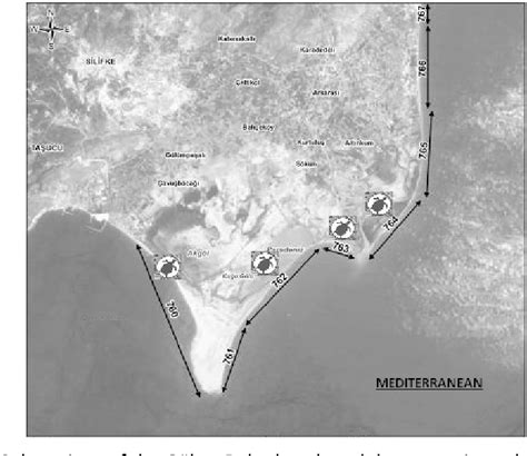 Figure 1 From Sand And Nest Temperatures And Sex Ratio Estimation For Loggerhead Turtle Caretta