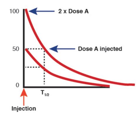 Metabolism And Excretion Kinetics Flashcards Quizlet