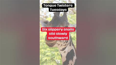 Tongue Twister Tuesday Challenge Can You Handle The Twist Shorts