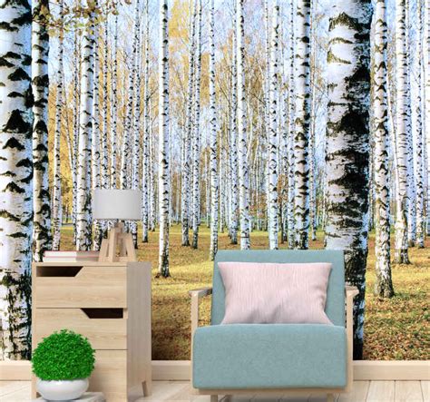 Birch Tree Wall Mural Tenstickers