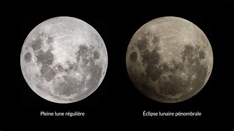 Pleine Lune Mars 2024 Signification De La Lune Du Ver Nouvelle Lune