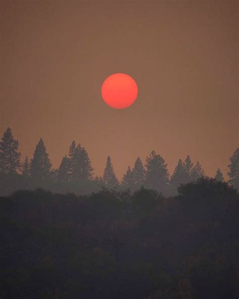 Гра-гра-грандоман!